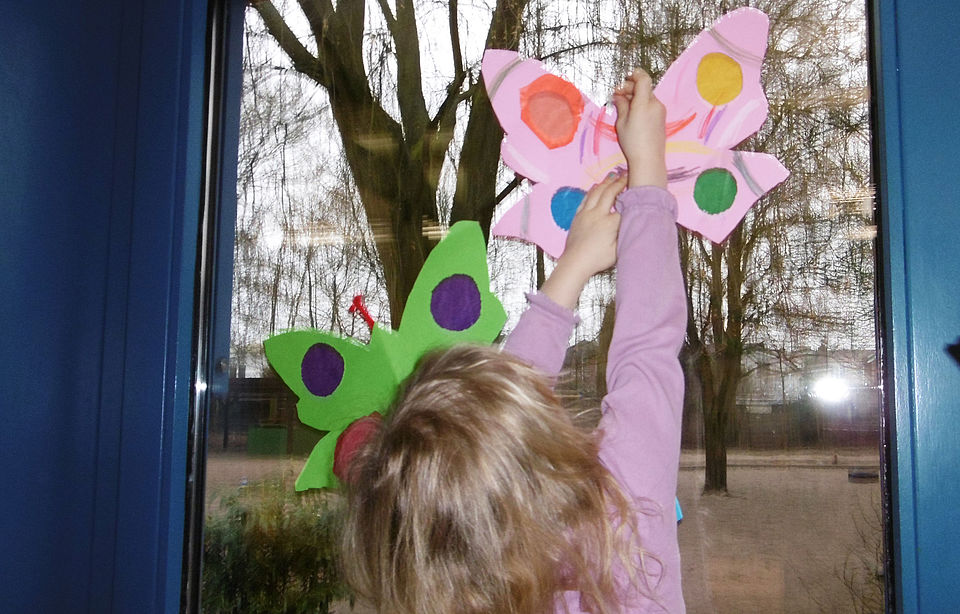 Wir schützen auch Schmetterlinge